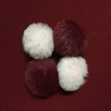 HKA008